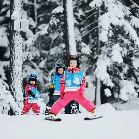 Der Stern - Nachhaltiges Wirtshaus Und Seit 1509 3*