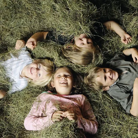 Der Stern - Nachhaltiges Wirtshaus Und Seit 1509 Hotel 4*