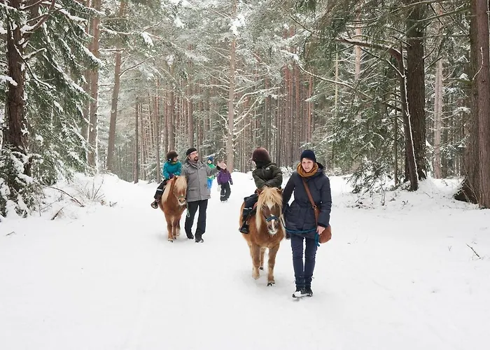 Hotel Der Stern - Nachhaltiges Wirtshaus Und Seit 1509