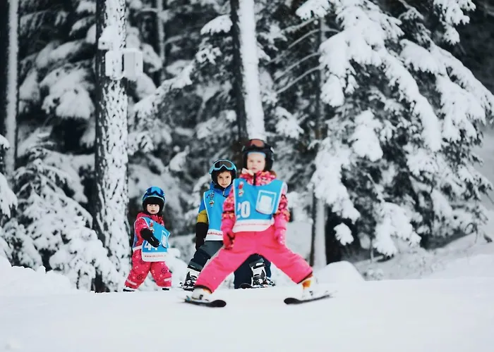 Der Stern - Nachhaltiges Wirtshaus Und Seit 1509 4*