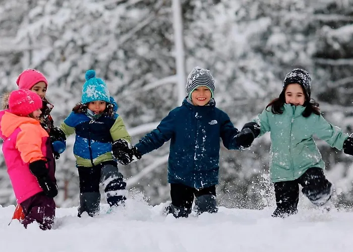 Hotel Der Stern - Nachhaltiges Wirtshaus Und Seit 1509 Obsteig