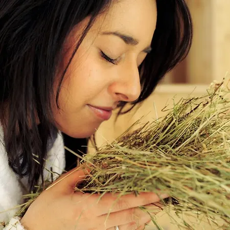 Der Stern - Nachhaltiges Wirtshaus Und Seit 1509 4* Obsteig