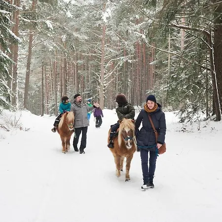 Hotel Der Stern - Nachhaltiges Wirtshaus Und Seit 1509