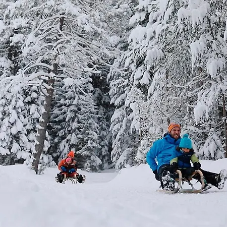 Der Stern - Nachhaltiges Wirtshaus Und Seit 1509 Hotel