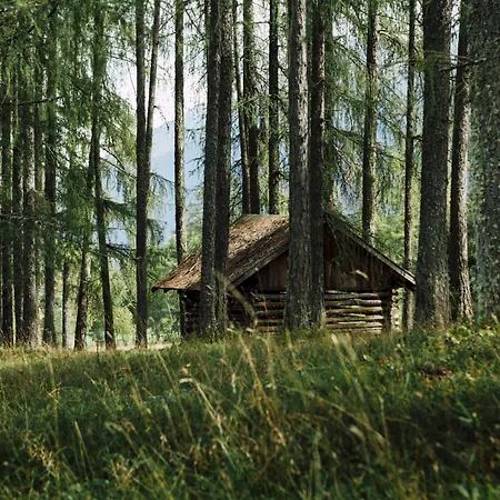 Hotel Der Stern - Nachhaltiges Wirtshaus Und Seit 1509 Obsteig