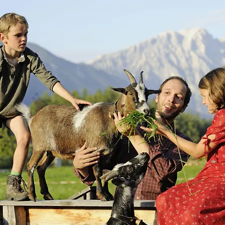 Der Stern - Nachhaltiges Wirtshaus Und Seit 1509 Hotel Obsteig