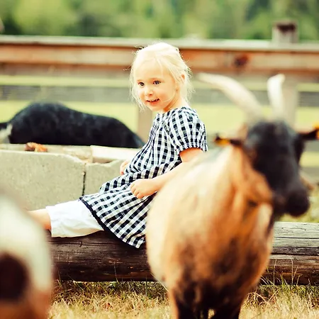 Der Stern - Nachhaltiges Wirtshaus Und Seit 1509 Hotel