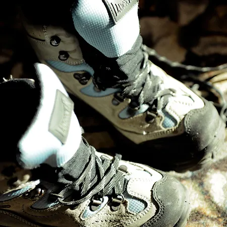 Der Stern - Nachhaltiges Wirtshaus Und Seit 1509 Hotel