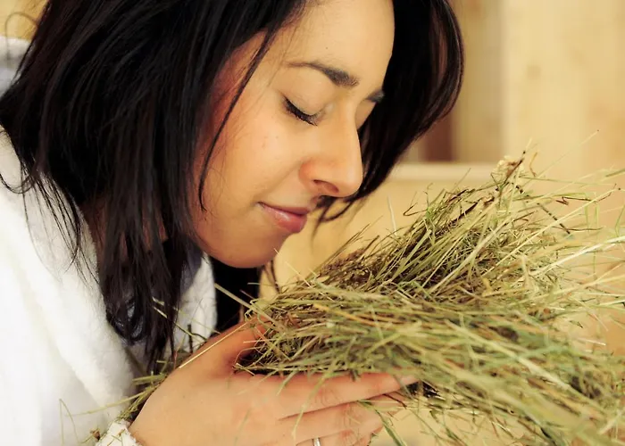 Der Stern - Nachhaltiges Wirtshaus Und Seit 1509 4* Obsteig