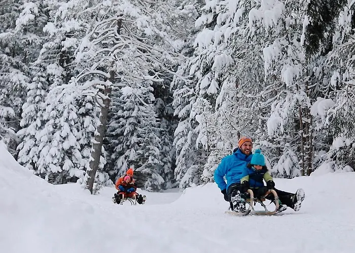 Der Stern - Nachhaltiges Wirtshaus Und Seit 1509 Hotel