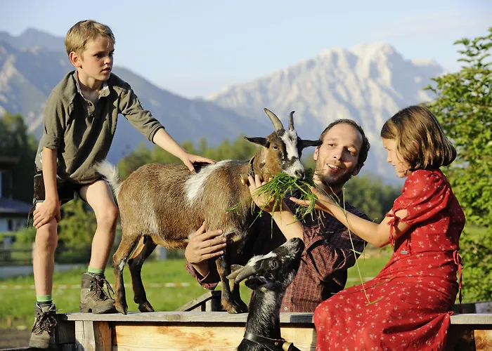 Der Stern - Nachhaltiges Wirtshaus Und Seit 1509 Hotel Obsteig