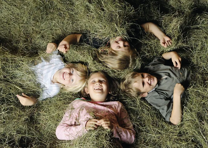 Der Stern - Nachhaltiges Wirtshaus Und Seit 1509 Hotel 4*