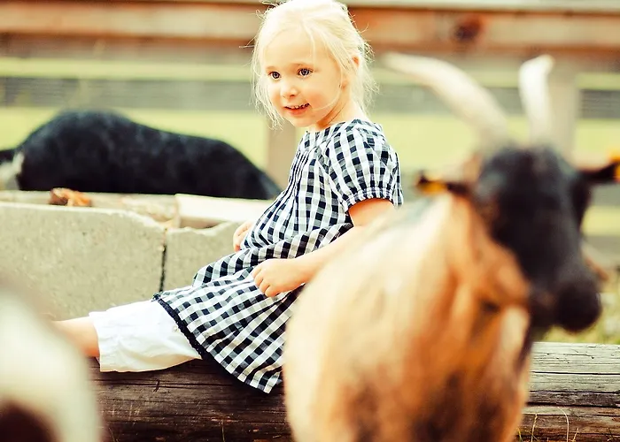 Der Stern - Nachhaltiges Wirtshaus Und Seit 1509 Hotel