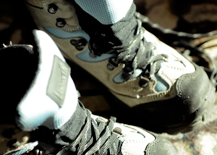 Der Stern - Nachhaltiges Wirtshaus Und Seit 1509 Hotel