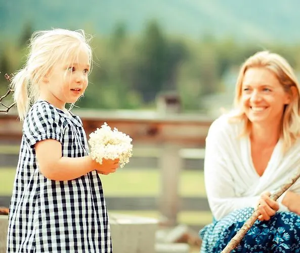 Der Stern - Nachhaltiges Wirtshaus Und Seit 1509 Hotel